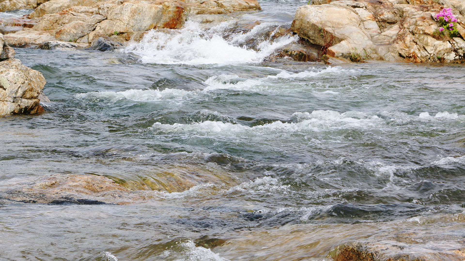 Second Image